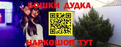 герыч Кингисепп