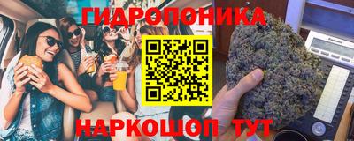 герыч Кингисепп