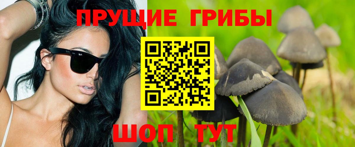 Псилоцибиновые грибы Magic Shrooms Барабинск