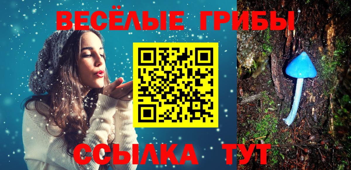 Барабинск  Псилоцибиновые грибы ЛСД  Вход с VPN 